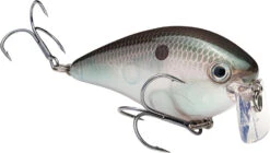 Strike King KVD 2.5 Wake Bait Waking Crankbait 23 Strike King KVD 2.5 Wake Bait Waking Crankbait -Fishing Promotion Store HCKVD2.5W 568