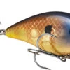 Strike King KVD 2.5 Wake Bait Waking Crankbait 2 Strike King KVD 2.5 Wake Bait Waking Crankbait -Fishing Promotion Store HCKVD2.5W 622