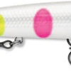 Rapala Husky Jerk 12 Jerkbait/Trolling Minnow 1 Rapala Husky Jerk 12 Jerkbait/Trolling Minnow -Fishing Promotion Store HJ12 14 BWB bd2bad12 c688 4056 b538 e6e45e56893e