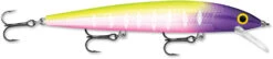 Rapala Husky Jerk 12 Jerkbait/Trolling Minnow 37 Rapala Husky Jerk 12 Jerkbait/Trolling Minnow -Fishing Promotion Store HJ12 14 MFT 30c50575 8d12 44fc 883c 4253fe262622