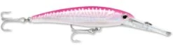 Rapala X-Rap Magnum 30 Big Game Slash Bait -Fishing Promotion Store Hot Pink UV 82517a7c 7158 44d1 bdc4 2ac6cb97c917