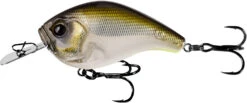 13 Fishing Jabber Jaw Hybrid Squarebill