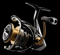 Daiwa Exceler LT Spinning Reel 9 Daiwa Exceler LT Spinning Reel -Fishing Promotion Store JTKar0HY