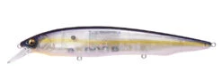 Megabass Kanata Jerkbait 31 Megabass Kanata Jerkbait -Fishing Promotion Store Kanata GP Megabass Sexy Shad