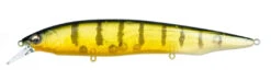 Megabass Kanata Jerkbait 33 Megabass Kanata Jerkbait -Fishing Promotion Store Kanata GP Pro Perch
