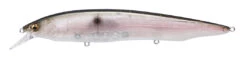 Megabass Kanata Jerkbait 37 Megabass Kanata Jerkbait -Fishing Promotion Store Kanata MB Gizzard