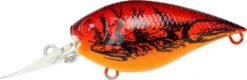 Lucky Craft LC 0.7 DR Deep Running Crankbait 12 Lucky Craft LC 0.7 DR Deep Running Crankbait -Fishing Promotion Store LC 0 7DR 137TOCR