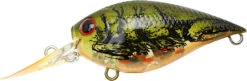 Lucky Craft LC 0.7 DR Deep Running Crankbait 13 Lucky Craft LC 0.7 DR Deep Running Crankbait -Fishing Promotion Store LC 0 7DR 188TOGC