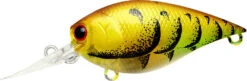 Lucky Craft LC 0.7 DR Deep Running Crankbait 9 Lucky Craft LC 0.7 DR Deep Running Crankbait -Fishing Promotion Store LC 0 7DR 496TRCR
