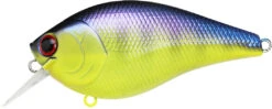 Lucky Craft LC 2.5 Shallow Squarebill Crankbait 40 Lucky Craft LC 2.5 Shallow Squarebill Crankbait -Fishing Promotion Store LC 2 5 136TOGL