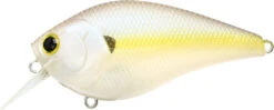 Lucky Craft LC 2.5 Shallow Squarebill Crankbait 25 Lucky Craft LC 2.5 Shallow Squarebill Crankbait -Fishing Promotion Store LC 2 5 250CRSD