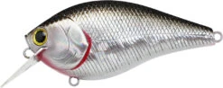 Lucky Craft LC 2.5 Shallow Squarebill Crankbait 24 Lucky Craft LC 2.5 Shallow Squarebill Crankbait -Fishing Promotion Store LC 2 5 419BPGSN