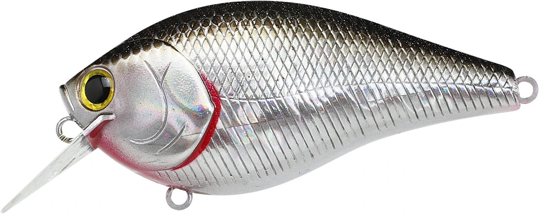 Lucky Craft LC 2.5 Shallow Squarebill Crankbait 5 Lucky Craft LC 2.5 Shallow Squarebill Crankbait - Image 3