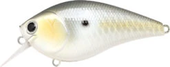 Lucky Craft LC 2.5 Shallow Squarebill Crankbait 32 Lucky Craft LC 2.5 Shallow Squarebill Crankbait -Fishing Promotion Store LC 2 5 426GTFSD