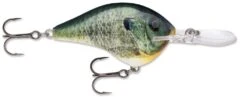 Rapala DT Series Crankbait DT14 39 Rapala DT Series Crankbait DT14 -Fishing Promotion Store Live Bluegill 54b3cb75 ad99 48aa b0bf acb677e159ab