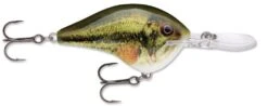 Rapala DT Series Crankbait DT14 40 Rapala DT Series Crankbait DT14 -Fishing Promotion Store Live Largemouth Bass e41a2a50 910d 4609 ac40 3bc3d77b1c5d