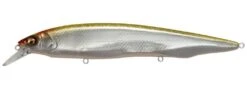 Megabass Kanata Jerkbait 24 Megabass Kanata Jerkbait -Fishing Promotion Store MG Western Clown GS 34efdf0b fb52 461b 9431 65b2a421e35e