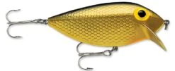 Storm Original Thinfin 06 Shallow-Medium Diving Crankbait 19 Storm Original Thinfin 06 Shallow-Medium Diving Crankbait -Fishing Promotion Store Metallic Gold Black 7756ed3f 51f4 471f ae6e e512f06f1b1f