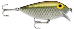 Storm Original Thinfin 06 Shallow-Medium Diving Crankbait 21 Storm Original Thinfin 06 Shallow-Medium Diving Crankbait -Fishing Promotion Store Metallic Silver Gold 0b9072b5 bce7 4081 b0d4 cfe99f82b181