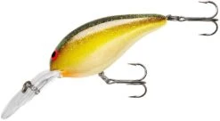 Norman Deep Little-N 2 1/2 Inch Deep Diving Crankbait 25 Norman Deep Little-N 2 1/2 Inch Deep Diving Crankbait -Fishing Promotion Store NMDLN147