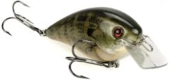 Strike King KVD Magnum Square Bill 8.0 Silent Crankbaits 30 Strike King KVD Magnum Square Bill 8.0 Silent Crankbaits -Fishing Promotion Store Natural Bream 55223427 a39e 4769 b20d 1bc73fee5dce