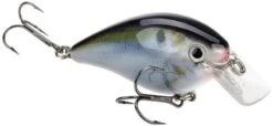 Strike King KVD Magnum Square Bill 8.0 Silent Crankbaits 31 Strike King KVD Magnum Square Bill 8.0 Silent Crankbaits -Fishing Promotion Store Natural Shad 9eb0779d d45c 4460 b516 db24e746528f