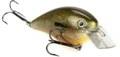 Strike King KVD Magnum Square Bill 8.0 Silent Crankbaits 32 Strike King KVD Magnum Square Bill 8.0 Silent Crankbaits -Fishing Promotion Store Orange Bream 8d82629c 742b 46f0 8fc2 0fe360b975f3