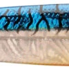P-Line Laser Minnow 1 Oz. Jigging Spoon 2 P-Line Laser Minnow 1 Oz. Jigging Spoon -Fishing Promotion Store PLM 11 HG BlueMack