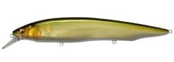Megabass Kanata Jerkbait 25 Megabass Kanata Jerkbait -Fishing Promotion Store PM Kisyu Ayu cc7e4d3c d90a 447b a246 d94c3a0ee230