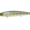 Lucky Craft Slender Pointer 97MR Suspending Shallow Jerkbait 1 Lucky Craft Slender Pointer 97MR Suspending Shallow Jerkbait -Fishing Promotion Store PT97MR 269BEGL 76e0cf17 a2de 4e95 887a 56d9806c4e0c