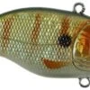 SPRO Aruku Shad Jr. Lipless Crankbait 2 SPRO Aruku Shad Jr. Lipless Crankbait -Fishing Promotion Store Perch 5107212c f555 45e9 b2d3 4528135e3026