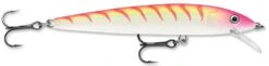 Rapala Husky Jerk 10 Jerkbait/Trolling Minnow 39 Rapala Husky Jerk 10 Jerkbait/Trolling Minnow -Fishing Promotion Store Pink Tiger UV 79bed23d 9b8e 4ab3 8c93 f04ec2daedaa