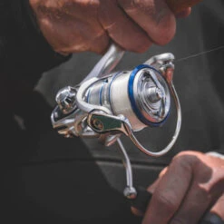 Daiwa Procyon MQ LT Spinning Reel 10 Daiwa Procyon MQ LT Spinning Reel -Fishing Promotion Store Procyon3Spot 1000x a9dd0fff 5484 484f ada8 569f03ffa72b