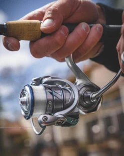 Daiwa Procyon MQ LT Spinning Reel 13 Daiwa Procyon MQ LT Spinning Reel -Fishing Promotion Store Procyon5Spot