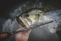 Temple Fork Outfitters Professional Spinning Rods 38 Temple Fork Outfitters Professional Spinning Rods -Fishing Promotion Store Professional Carousel Lifestlye 1 9248a8c8 d783 47f1 a411 0024650bb34a