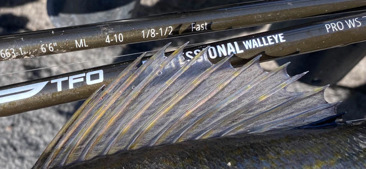 Temple Fork Outfitters Professional Walleye Trolling Rods 8 Temple Fork Outfitters Professional Walleye Trolling Rods - Image 6
