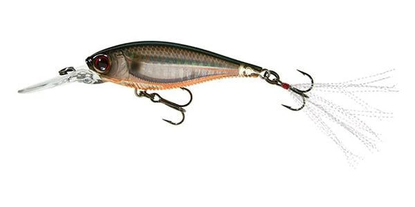Yo-Zuri 3DB Shad Suspending 2 3/4 Inch Medium Diving Crankbait 14 Yo-Zuri 3DB Shad Suspending 2 3/4 Inch Medium Diving Crankbait - Image 12
