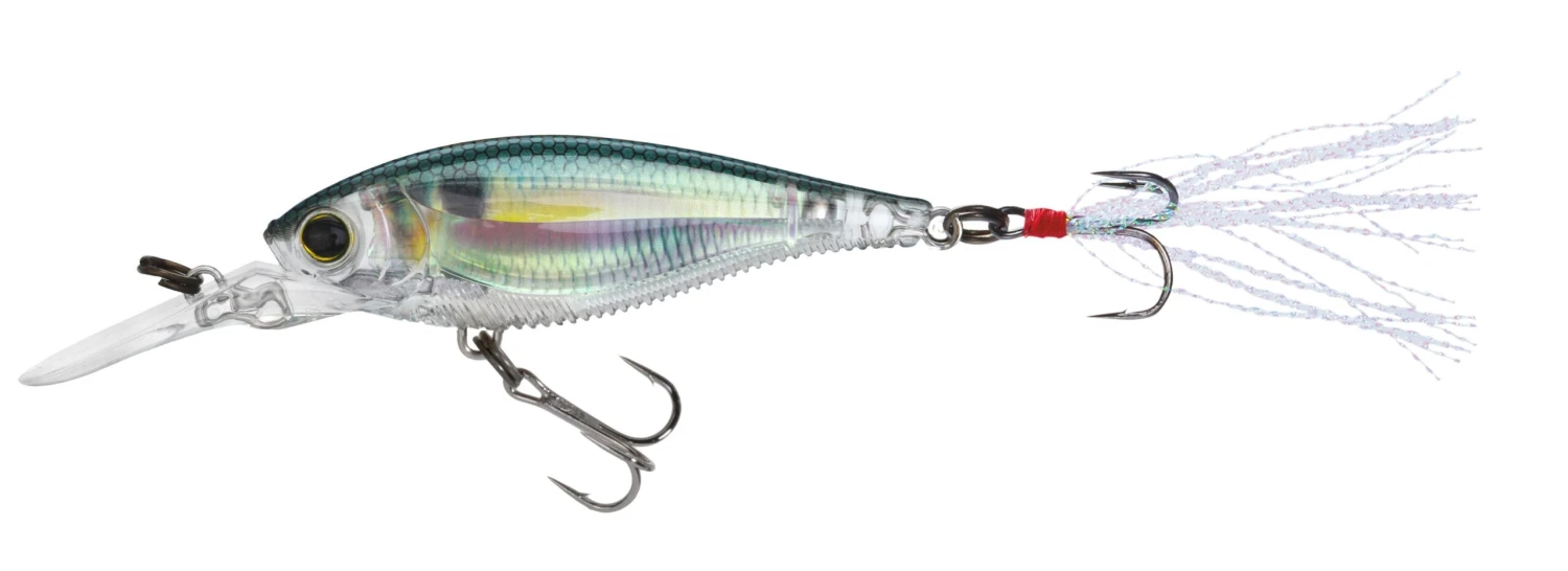 Yo-Zuri 3DB Shad Suspending 2 3/4 Inch Medium Diving Crankbait 15 Yo-Zuri 3DB Shad Suspending 2 3/4 Inch Medium Diving Crankbait - Image 13