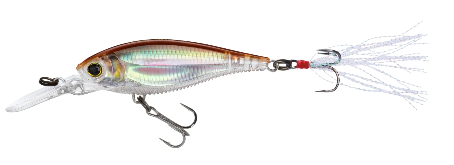 Yo-Zuri 3DB Shad Suspending 2 3/4 Inch Medium Diving Crankbait 17 Yo-Zuri 3DB Shad Suspending 2 3/4 Inch Medium Diving Crankbait - Image 15
