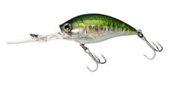 Yo-Zuri 3DB Deep Crank 2 3/4 Inch Deep Diving Crankbait 26 Yo-Zuri 3DB Deep Crank 2 3/4 Inch Deep Diving Crankbait -Fishing Promotion Store R1108 PBB e6dbabfc 2984 466f 8edc 5c23f0600bf5