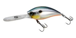 Yo-Zuri 3DB Deep Crank 2 3/4 Inch Deep Diving Crankbait 37 Yo-Zuri 3DB Deep Crank 2 3/4 Inch Deep Diving Crankbait -Fishing Promotion Store R1108 SBL 6525ca93 428a 4281 81d1 6067188a015b