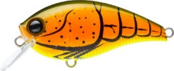 Yo-Zuri 3DB Crank 1.5 Shallow Squarebill Crankbait 25 Yo-Zuri 3DB Crank 1.5 Shallow Squarebill Crankbait -Fishing Promotion Store R1352 BOCF