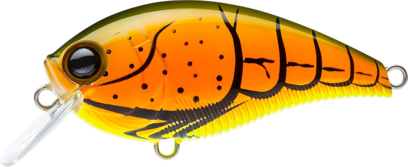 Yo-Zuri 3DB Crank 1.5 Shallow Squarebill Crankbait 6 Yo-Zuri 3DB Crank 1.5 Shallow Squarebill Crankbait - Image 4