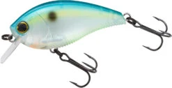 Yo-Zuri 3DB Crank 1.5 Shallow Squarebill Crankbait 26 Yo-Zuri 3DB Crank 1.5 Shallow Squarebill Crankbait -Fishing Promotion Store R1352 CSH