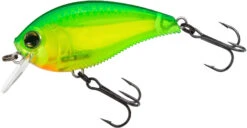 Yo-Zuri 3DB Crank 1.5 Shallow Squarebill Crankbait 29 Yo-Zuri 3DB Crank 1.5 Shallow Squarebill Crankbait -Fishing Promotion Store R1352 GCL