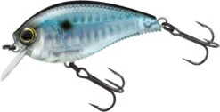 Yo-Zuri 3DB Crank 1.5 Shallow Squarebill Crankbait 34 Yo-Zuri 3DB Crank 1.5 Shallow Squarebill Crankbait -Fishing Promotion Store R1352 PSH