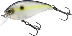 Yo-Zuri 3DB Crank 1.5 Shallow Squarebill Crankbait 41 Yo-Zuri 3DB Crank 1.5 Shallow Squarebill Crankbait -Fishing Promotion Store R1352 SSH