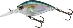 Yo-Zuri 3DB Crank 1.5 MR Medium Diving Crankbait 37 Yo-Zuri 3DB Crank 1.5 MR Medium Diving Crankbait -Fishing Promotion Store R1353 RGZS 293c94d3 0b1f 473e a6be 5424a2d134f9
