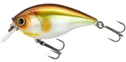 Hardcore Crank SR 65F Shallow Squarebill Crankbait 20 Hardcore Crank SR 65F Shallow Squarebill Crankbait -Fishing Promotion Store R1363 MGSA