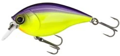Hardcore Crank SR 65F Shallow Squarebill Crankbait 21 Hardcore Crank SR 65F Shallow Squarebill Crankbait -Fishing Promotion Store R1363 PUCL